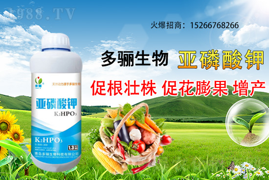 3�·��m�ϷNֲʲôˎ������Щˎ�ķNֲǰ������ٍ�X