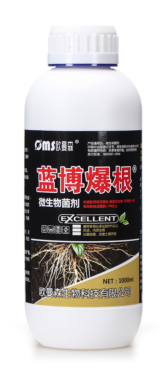 ΢�������-�{(l��n)������-�W��ɭ5