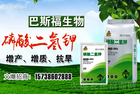 С���r(ji��)��F(xi��n)�ڶ����Xһ�������������߄�(sh��)�����