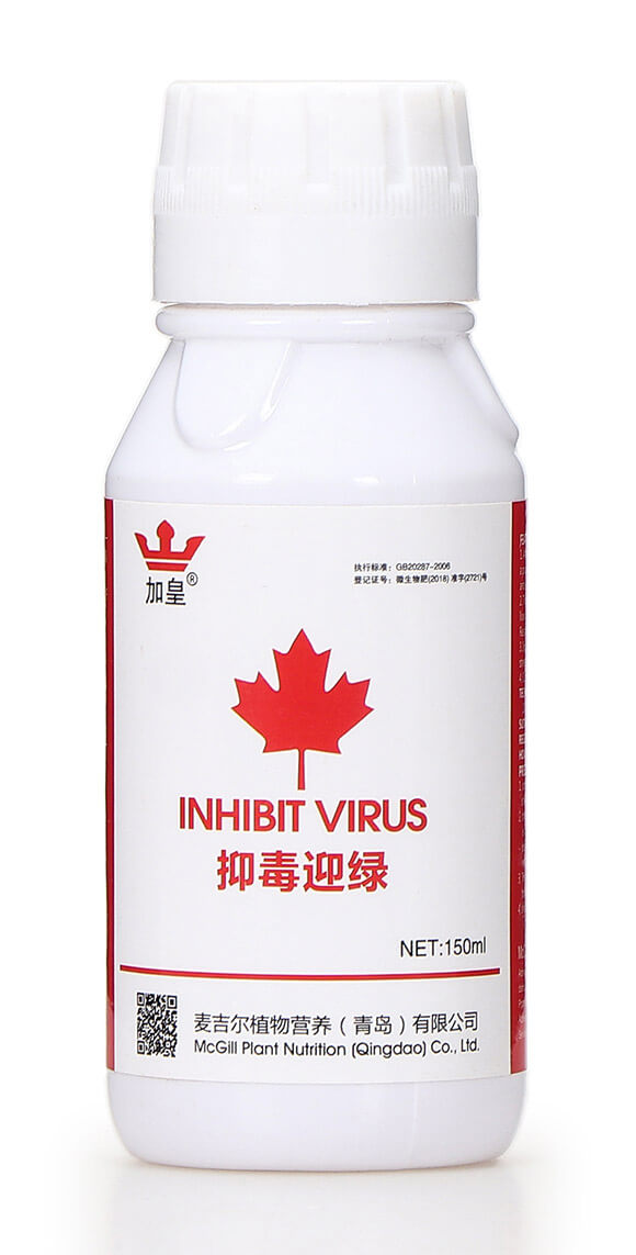 抑毒迎綠（專(zhuān)治病毒?。?綠肥5