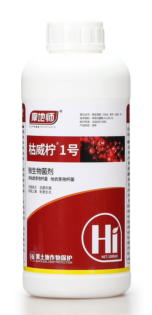 ΢�������-������1̖(h��o)-Ħ�؎�5