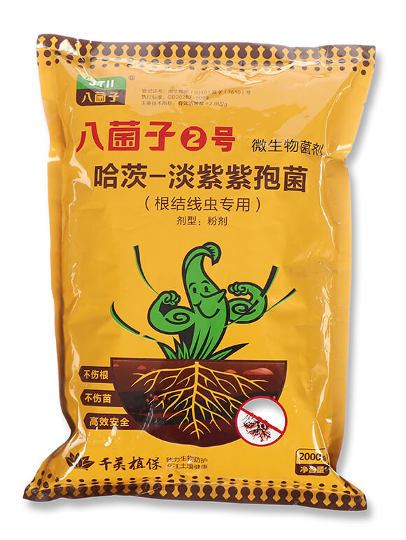 ����-�������߾�-�˾���2̖(h��o)-ǧ��ֲ��4