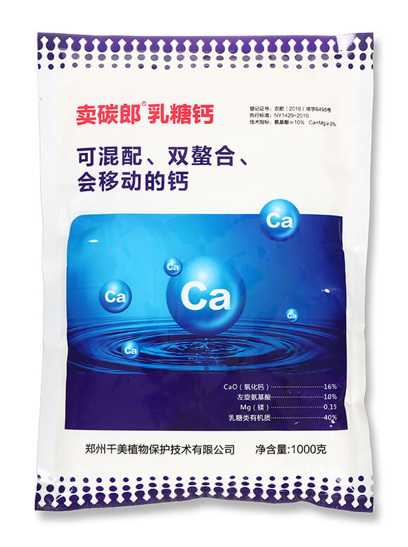 �����}-�u̼��-ǧ��ֲ��4