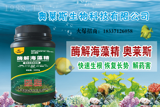 大豆價(jià)格還會上漲嗎？今日大豆價(jià)格行情