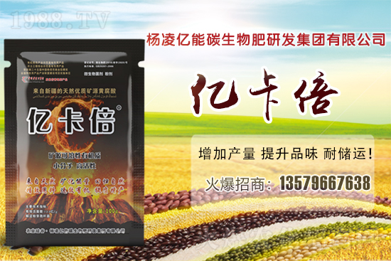 ���}�ۮa(ch��n)�����҇���Щʡ�ݣ����}������Щ��ҊƷ�N��