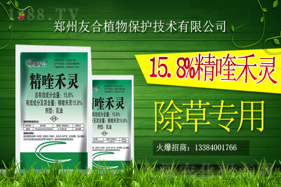 ����������݄��r���߄�2021.05.04