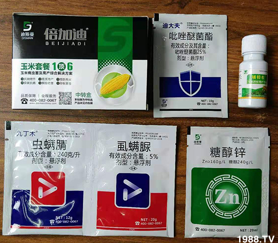 �����ײ�1