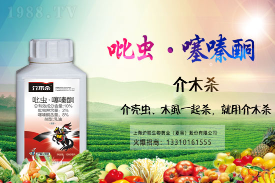 С�����x(ch��ng)