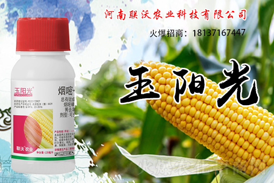 ���׳��ݞ�ʲô�x����������������݄���δ�