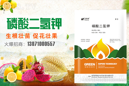 ��(zh��n)�Ժ�������������˹���ʘI(y��)�y��1988.TV�ل�(chu��ng)�x�ͣ�