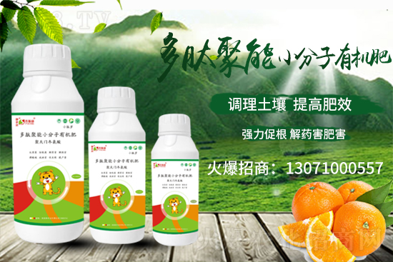 ��(zh��n)�Ժ�������������˹���ʘI(y��)�y��1988.TV�ل�(chu��ng)�x����