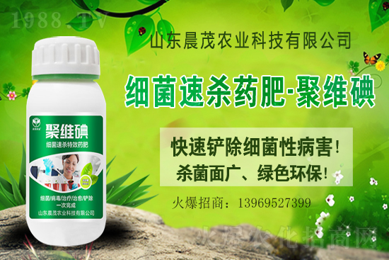 �׭h(hu��n)������������r��2021��4��29��