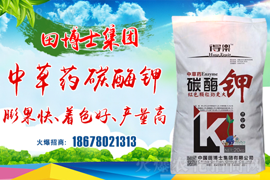 �����P(gu��n)ϵ�����A���ﲩʿ���F(tu��n)�m(x��)�s1988.TV�����\�����°l(f��)չ��