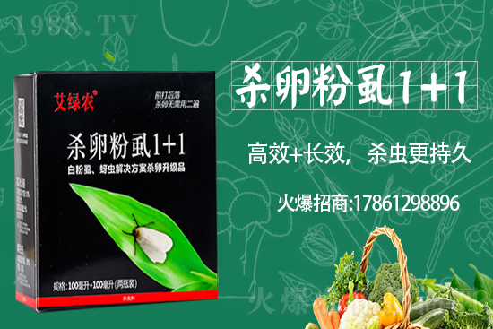     �����r(n��ng)�I(y��)�ٶȔy��1988.TV���y�ֹ���(chu��ng)��(zh��n)����