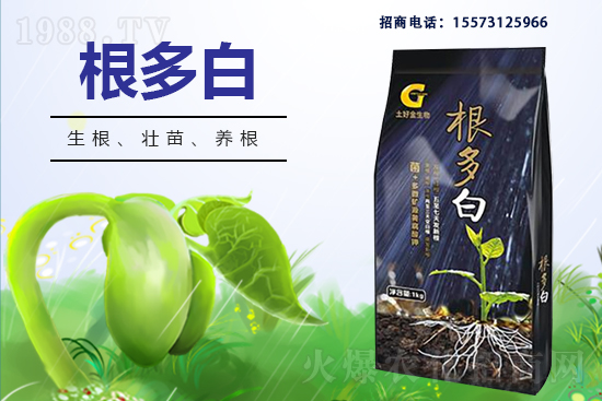 �����P(gu��n)ϵ�����A�����ý������ٺ�1988.TV������(chu��ng)���x����