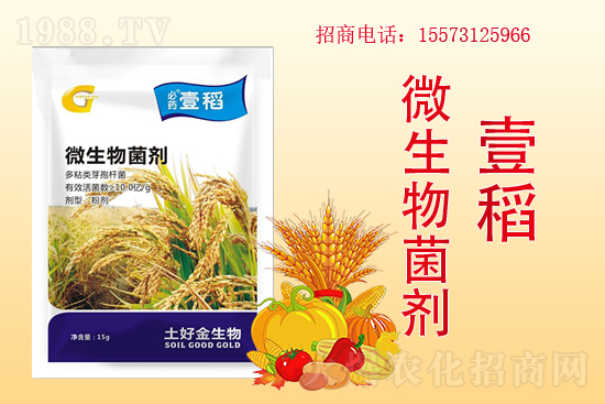 �����P(gu��n)ϵ�����A�����ý������ٺ�1988.TV������(chu��ng)���x����