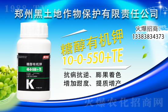 ⛷ʃr(ji��)���ϝq��2021��6��10��⛷ʃr(ji��)�������߄�