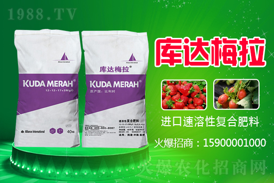 �t���ǏͺϷʶ����Xһ����2021.6.16���ʃr�������r