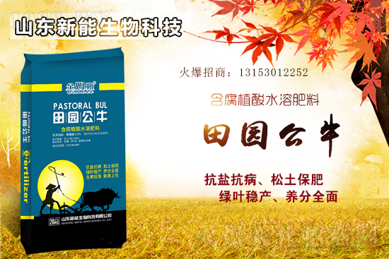 ⛷ʸ�λ�\(y��n)����2021��6��18�Շ���(n��i)⛷ʃr(ji��)������