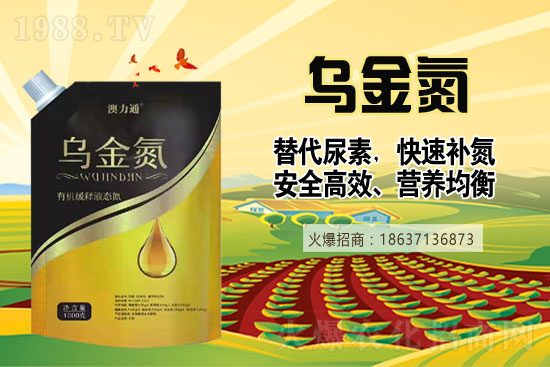 �����������������2021��6��19�����؃r�������Ո�