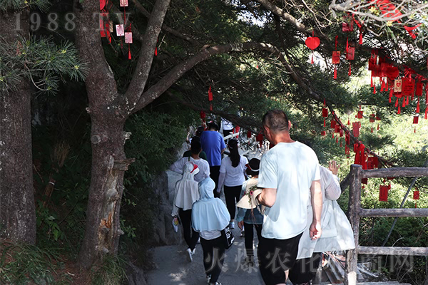 ���ӡ����½�(j��ng)�����������˼���㣬���_����