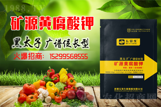 ����ʩ��