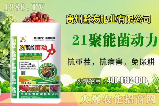 黔發(fā)肥業(yè)再度攜手1988.TV，攜手打造招商奇跡！