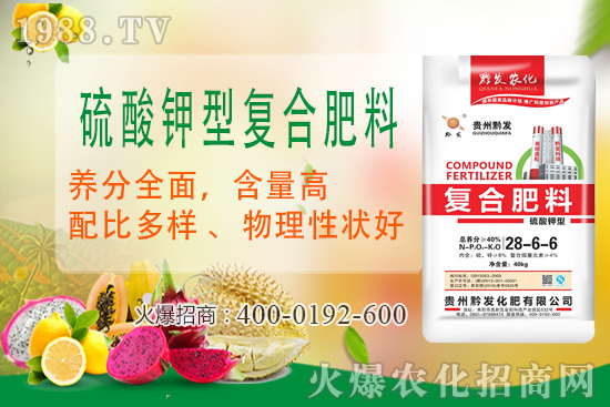 黔發(fā)肥業(yè)再度攜手1988.TV，攜手打造招商奇跡！