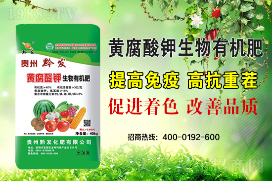 黔發(fā)肥業(yè)再度攜手1988.TV，攜手打造招商奇跡！