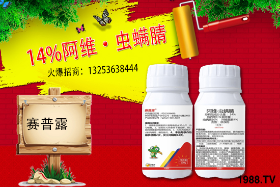 ِ��¶����𱬁��u���ٺ����r(n��ng)�����̾W(w��ng)�_��(chu��ng)���x�ͣ�