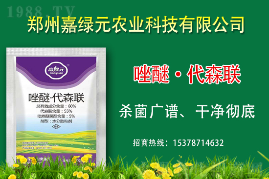 ����������(j��)���ξGԪ�r(n��ng)�I(y��)�ٺ�1988.TV������(chu��ng)���x����