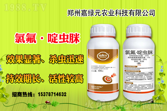 ����������(j��)���ξGԪ�r(n��ng)�I(y��)�ٺ�1988.TV������(chu��ng)���x����