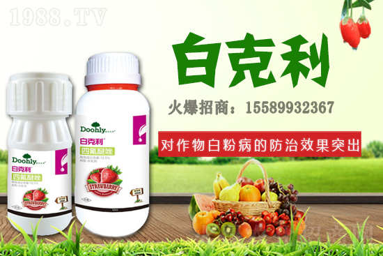 ��(gu��)�|���m(x��)�s1988.TV����(zh��n)�Ժ����P(gu��n)ϵ�������_(t��i)�A��