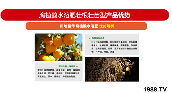 ���������ͺ���ֲ��ˮ�ܷ� ��ؾ��A �r(n��ng)������3