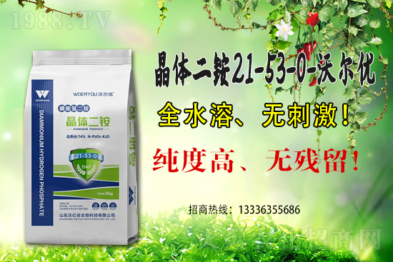 �������@�r�������Ո�2021��6��5��