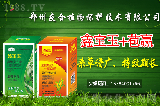 �S�׻�¡���݄��r(ji��)������2021.7.10