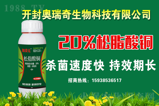 �W��������𱬁�(l��i)�u���y��1988.TV�_(k��i)���W(w��ng)�j(lu��)������������