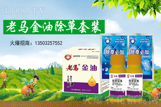 �ݸ�좃r��(chu��ng)�¸���2021��7��15�ղݸ�좃r���߄�