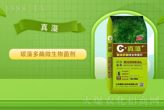 ɽ�|�W�������ٺ�1988.TV���y�ִ����������E��