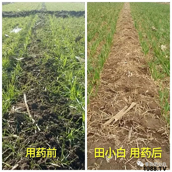 С���s������(ji��)��(ji��)�����E�ɞ�(z��i)����ô�k��С�����݄���ô�x