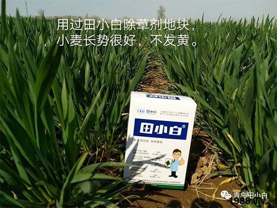 С���s������(ji��)��(ji��)�����E�ɞ�(z��i)����ô�k��С�����݄���ô�x