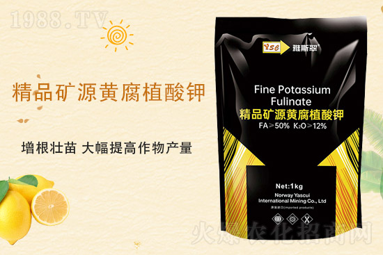 2021��9��25�Շ���(n��i)���؃r�������Ӎ