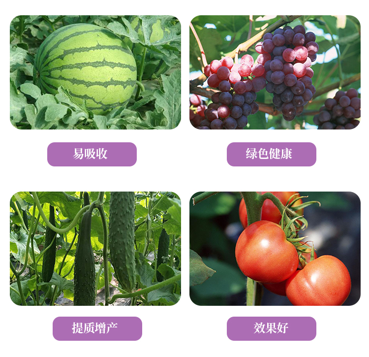 C-_Users_1988_Desktop_�H���{(l��n)������Ƽ����޹�˾_04