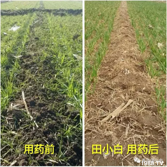 ��(ji��)��(ji��)��Σ����(y��n)����ô������ʲôˎ��Ч������