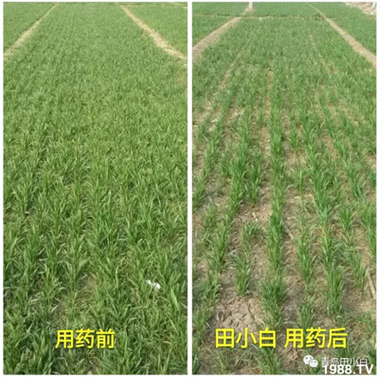 ��(ji��)��(ji��)��Σ����(y��n)����ô������ʲôˎ��Ч������