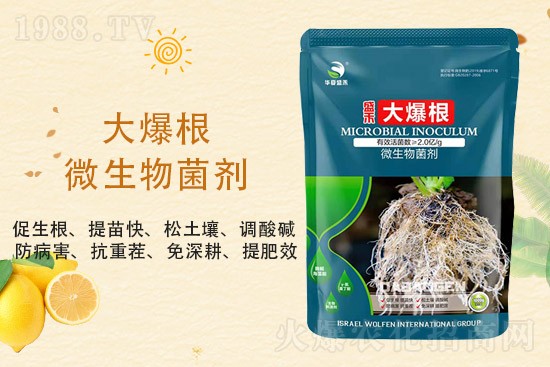 ���@�r��ַ�(w��n)��2021��9��3�����@�r���������