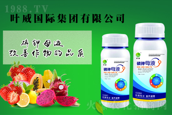 ⛷ʸ�λ�P����2021��9��7��⛷ʃr������