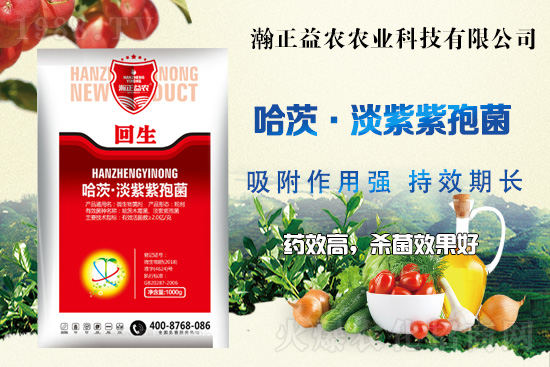 ��������r(n��ng)��ף���т��I(y��)�������ϣ������������µ�һ�����չ��D��