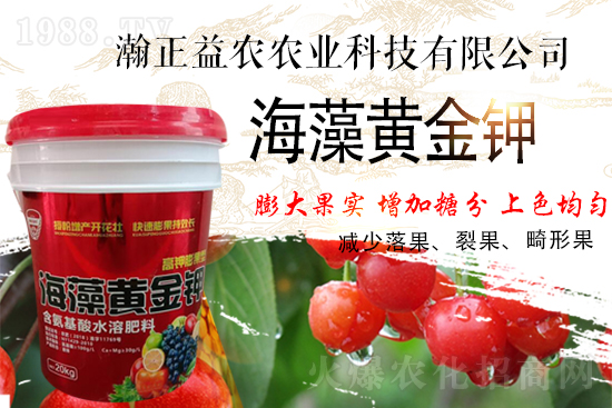 ��������r(n��ng)��ף���т��I(y��)�������������������µ�һ�����չ��D��