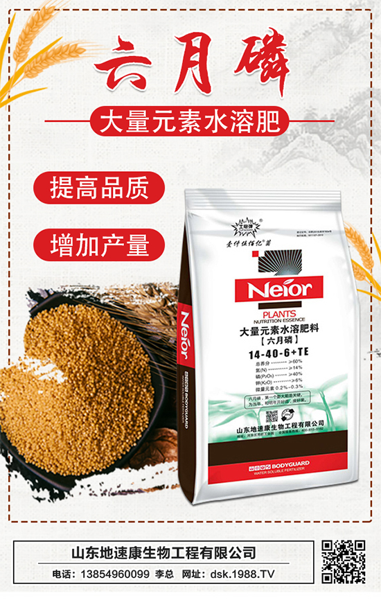 �����ٿ����ף�������w������ǰ�����\���������M��